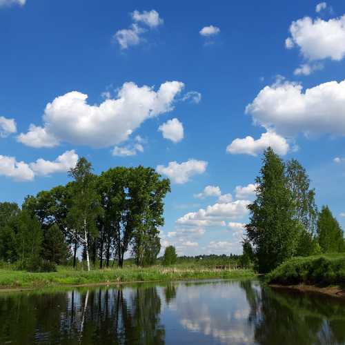 Photo #7815865