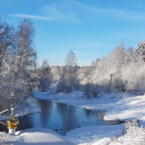 Photo #7815904