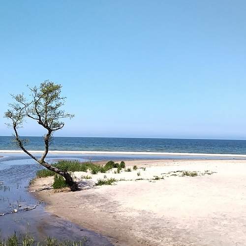 Photo #7815971