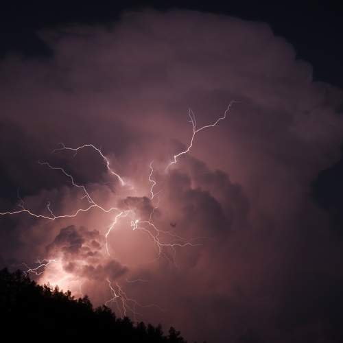 Photo #7816045