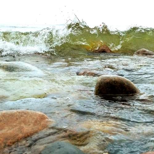 Photo #7816050