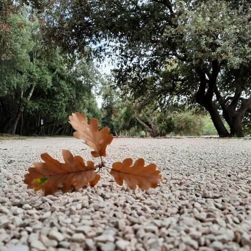 Photo #7816142