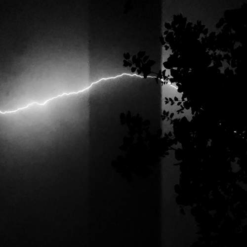 Photo #7816339