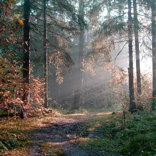 Photo #7816348