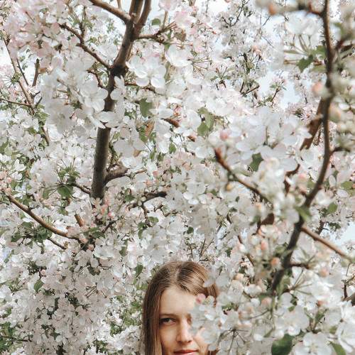 Photo #7816598