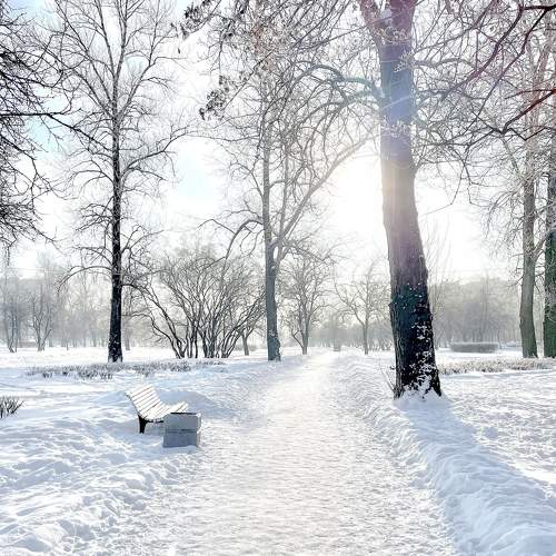 Photo #7816681