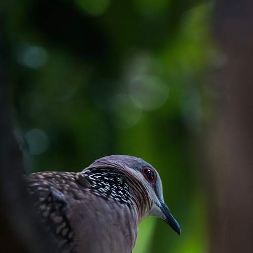 Photo #7816737