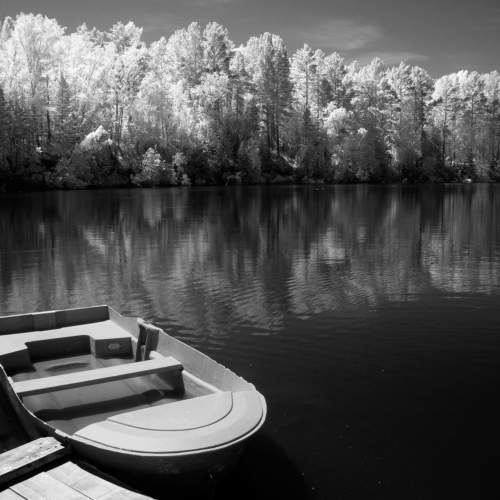 Photo #7817062