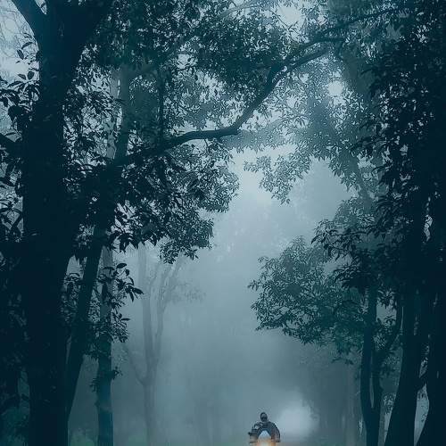 Photo #7817149
