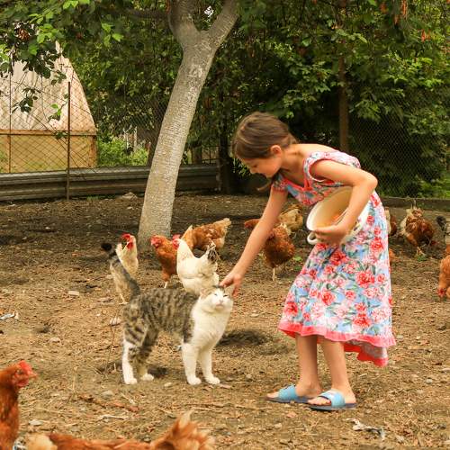 Photo #7817285