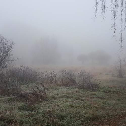 Photo #7817633