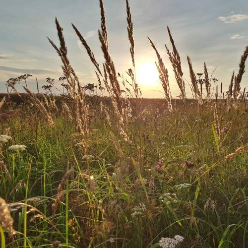 Photo #7817635