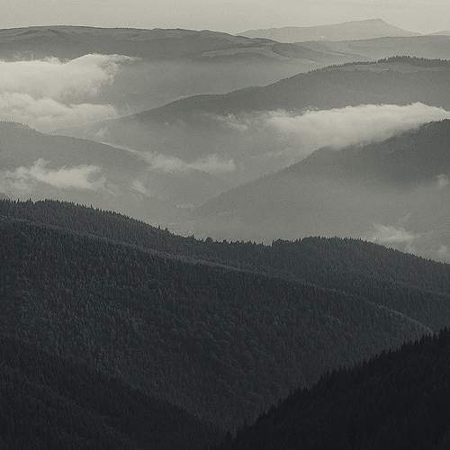 Photo #7817956