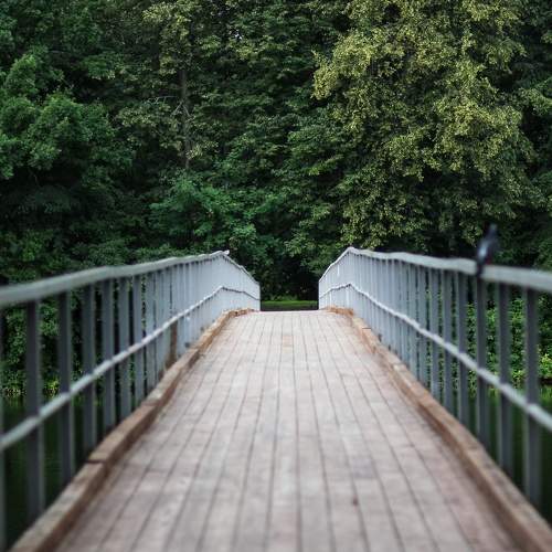 Photo #7818338
