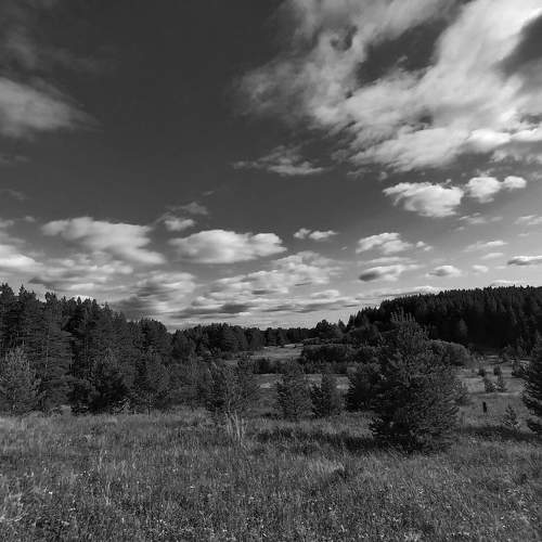 Photo #7818622