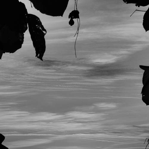 Photo #7819304