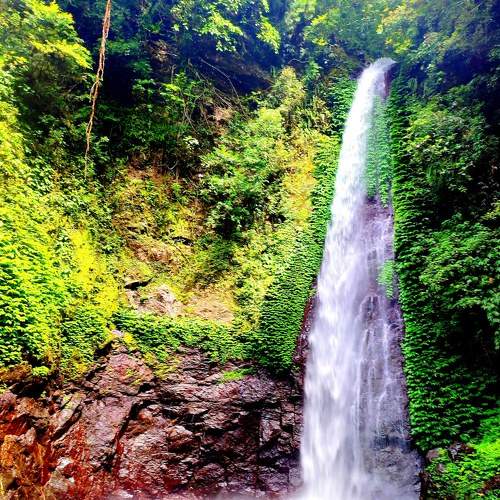 Photo #7819625