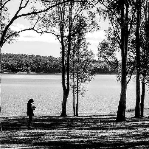 Photo #7819765
