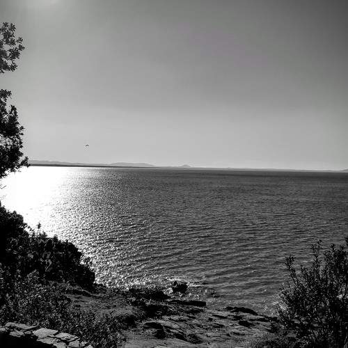 Photo #7819780