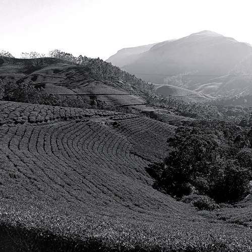 Photo #7819840
