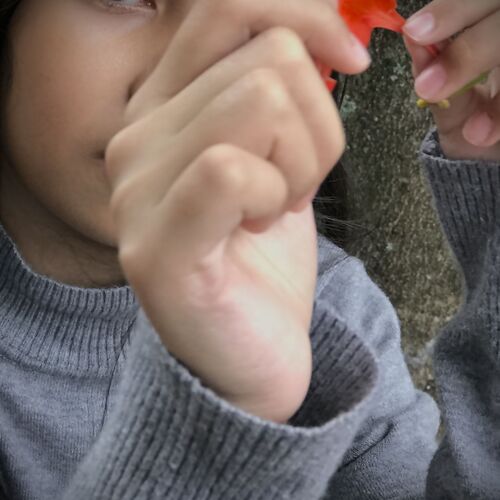 Photo #7819923