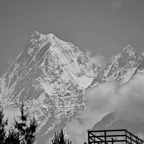 Photo #7820564