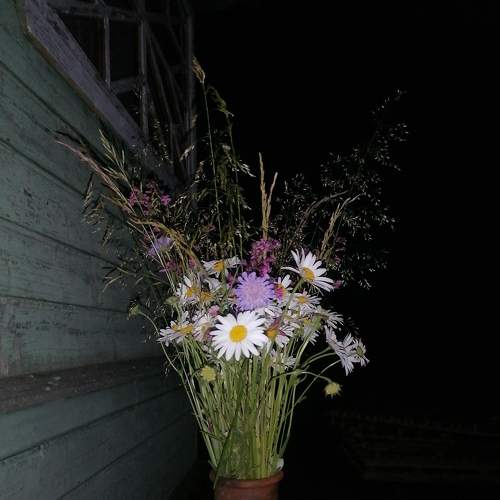 Photo #7821148