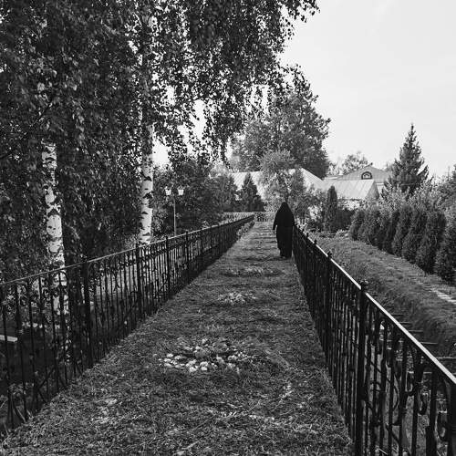 Photo #7821503