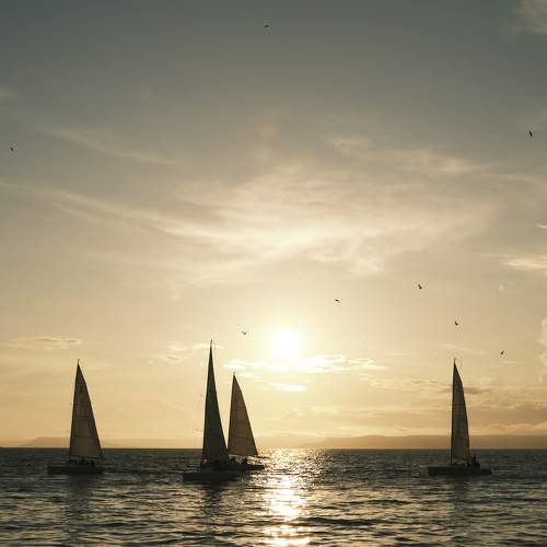 Photo #7822406