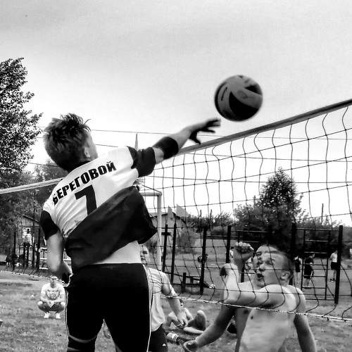 Photo #7822934