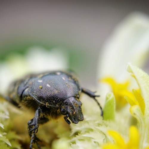 Photo #7822990