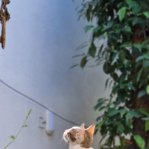 Photo #7823372