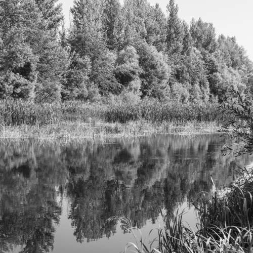 Photo #7823404