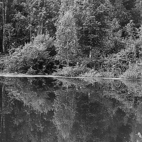 Photo #7823901