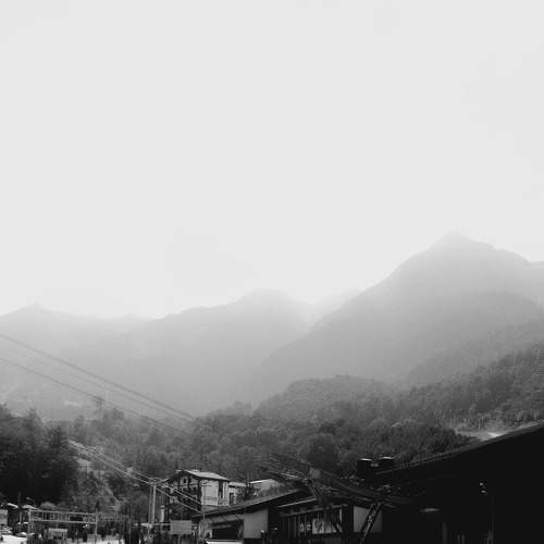 Photo #7823945