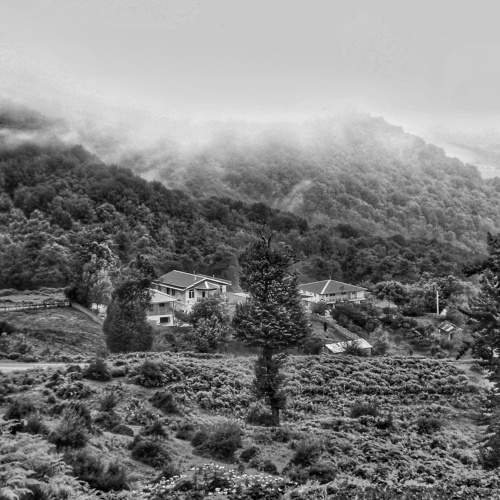 Photo #7824133