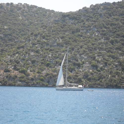 Photo #7824239