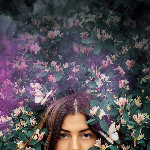Photo #7824504