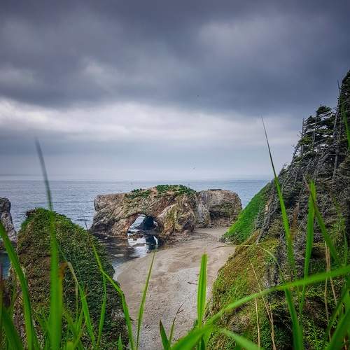 Photo #7824770