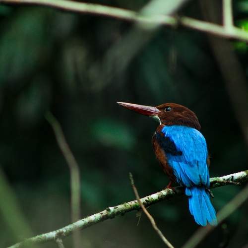 Photo #7824784