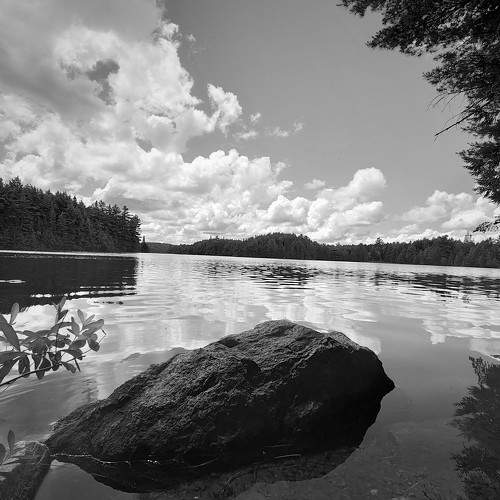 Photo #7824847