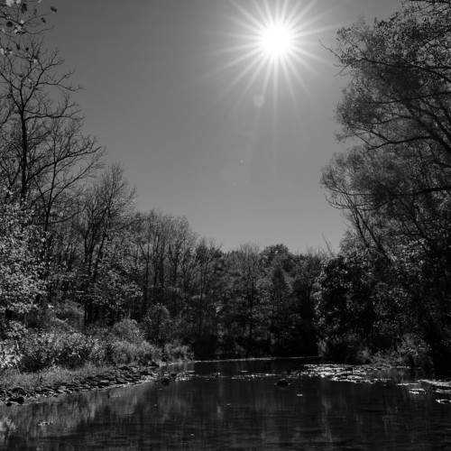 Photo #7824849