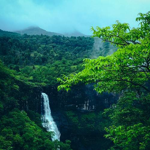 Photo #7824861
