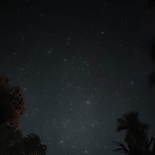 Photo #7825193