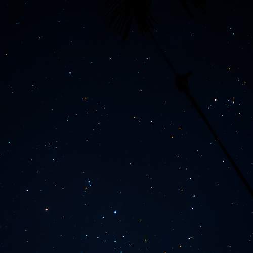 Photo #7825195