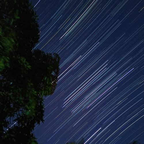 Photo #7825212