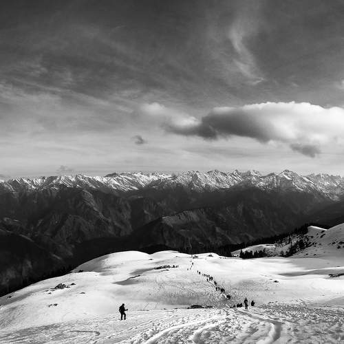 Photo #7825375