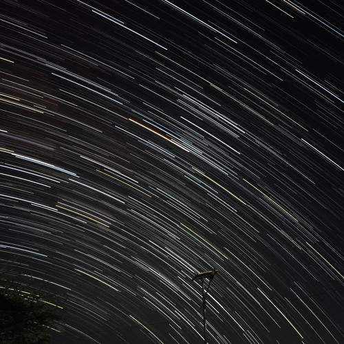 Photo #7825567