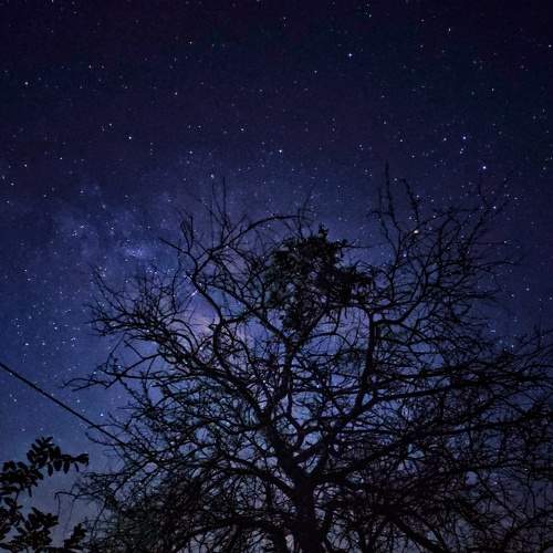 Photo #7825568