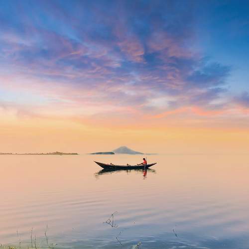 Photo #7825651
